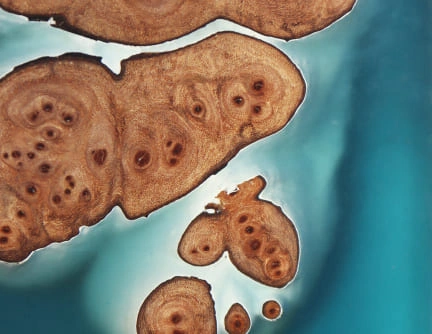 Tableau 25cm résine epoxy effet iles dans océan cadre en chêne